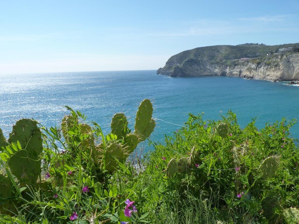 Pensione Villa Mafalda Forio di Ischia Eksteriør billede
