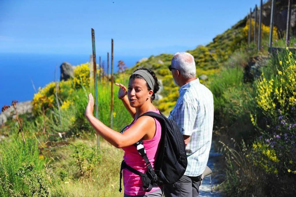 Pensione Villa Mafalda Forio di Ischia Eksteriør billede